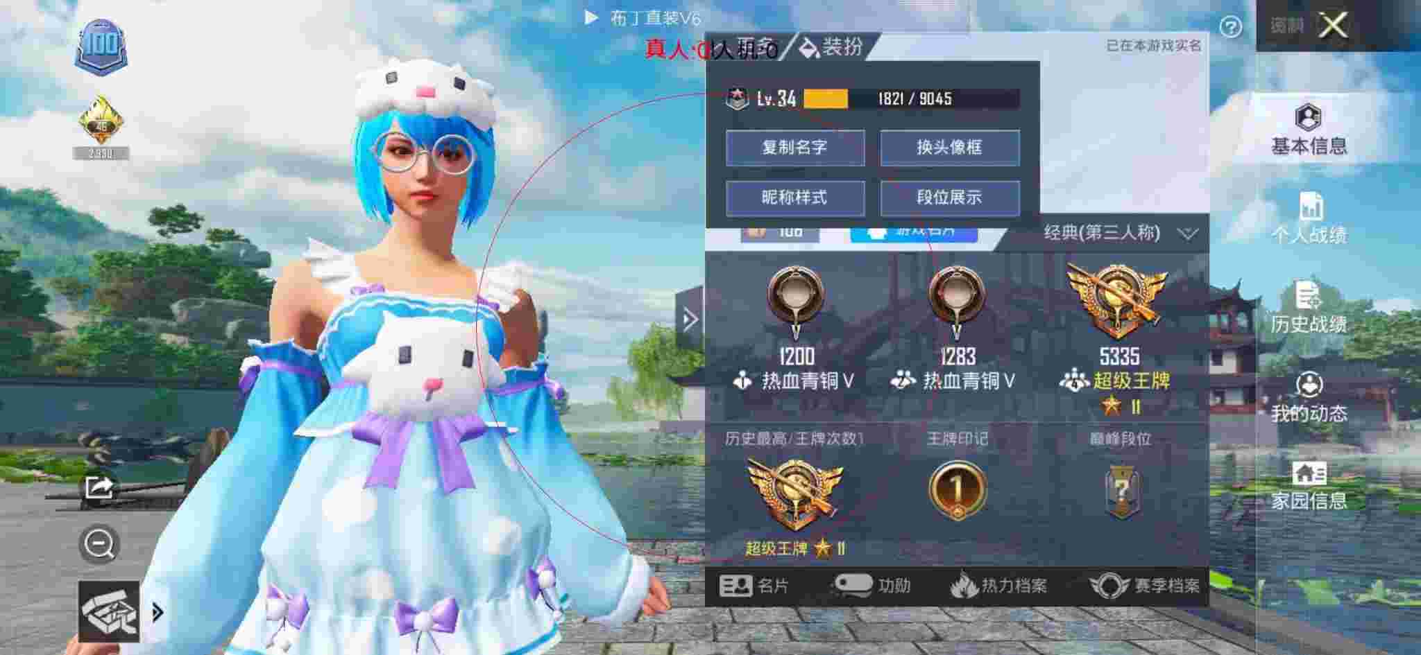 和平精英布丁直装透视 - 和平精英巡查科技大佬辅助预览图